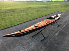 Ruahine Southern Skua
