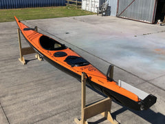 Ruahine Southern Skua