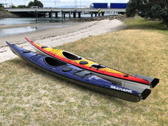 Ruahine Southern Skua