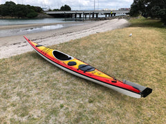 Ruahine Southern Skua
