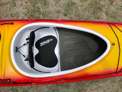 Ruahine Southern Skua