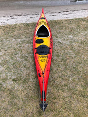 Ruahine Southern Skua