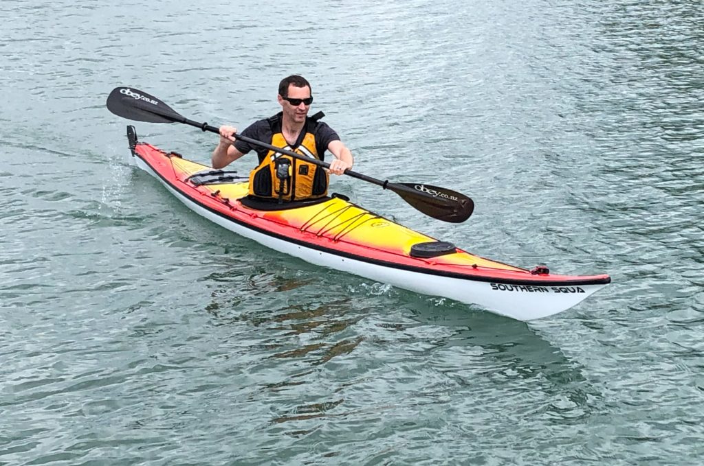Ruahine Southern Skua