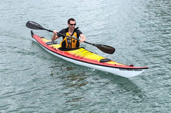 Ruahine Southern Skua