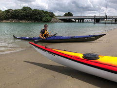 Ruahine Southern Skua