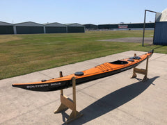 Ruahine Southern Skua