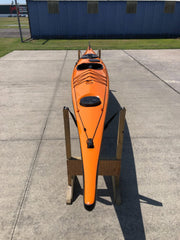Ruahine Southern Skua