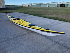 Ruahine Southern Skua