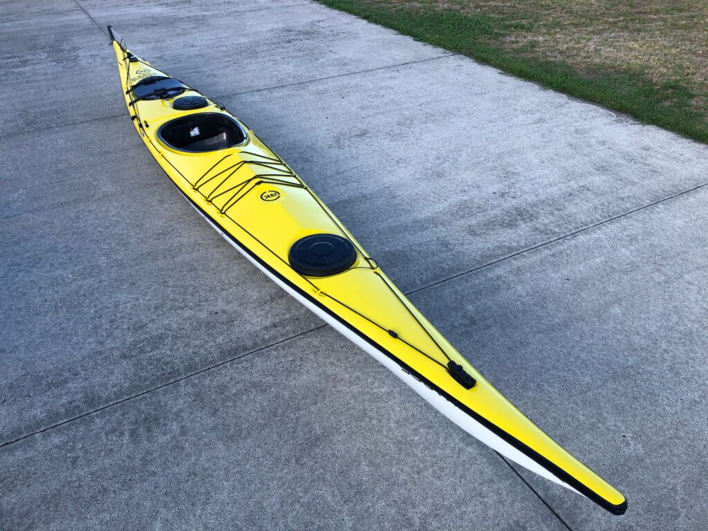 Ruahine Southern Skua