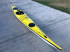 Ruahine Southern Skua